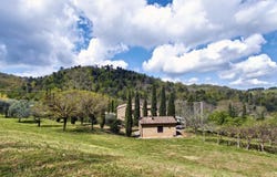 Chianni, Tuscany 56034
