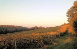 Grosseto, Tuscany 58100