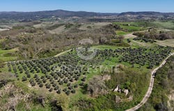 Asciano, Tuscany 53041