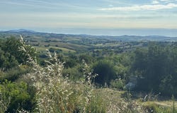 Cingoli, Marche 62011