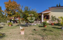 Montecchio, Umbria 05020