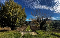 Apiro, Marche 62021