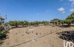 Joppolo, Calabria 89863