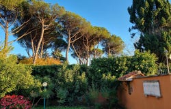 Rome, Lazio 00164