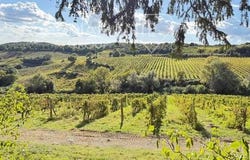 Montalcino, Toscana|Tuscany