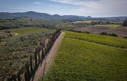 Manciano, Tuscany 58010