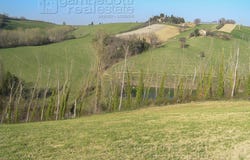 Terre Roveresche, Marche 61040
