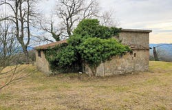 Roccastrada, Tuscany 58036
