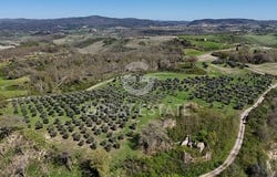 Asciano, Siena