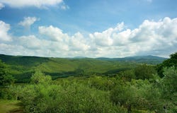 Grosseto, Tuscany 58100