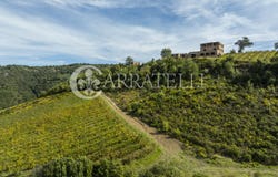 Scansano, Tuscany 58054