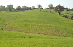 Grosseto, Tuscany 58100