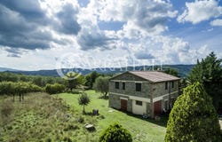 Castiglione d'Orcia, Tuscany 53023