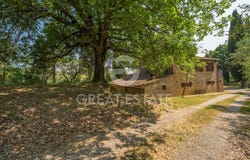Torrita di Siena, Tuscany 53049