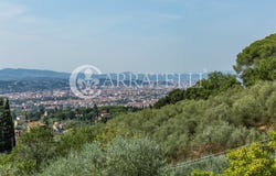 Florence, Tuscany 50135