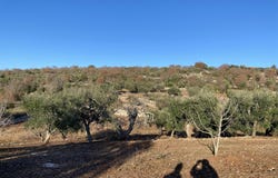 Monopoli, Apulia 70043