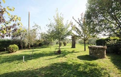 Castelnuovo Berardenga, Tuscany 53019