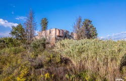 San Miniato, Tuscany 56024