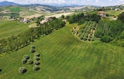 Carassai, Marche 63063