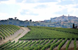 Montepulciano, Tuscany 53045