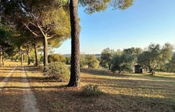 Magliano in Toscana, Tuscany 58051