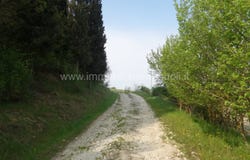 Rapolano Terme, Tuscany 53040