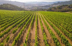 Calangianus, Sardinia 07023