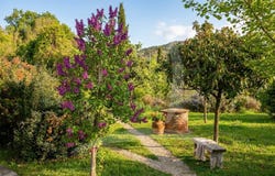 Arezzo, Tuscany 52100