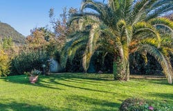 Camaiore, Tuscany 55041