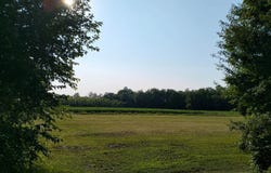 Veneto, Veneto 35010