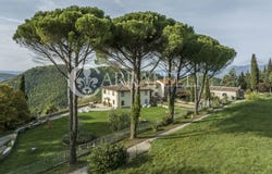 Dicomano, Tuscany 50062