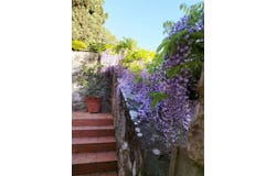 Florence, Tuscany 50124