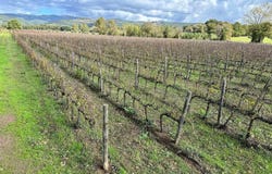 Grosseto, Tuscany 58100