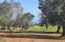 Carovigno, Apulia 72012