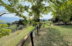 Vecchiano, Tuscany 56019