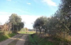 Castiglione Del Lago, Umbria