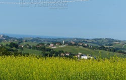 Sant'Ippolito, Marche 61040
