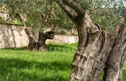 Corciano, Perugia
