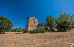 Certaldo, Tuscany 50052