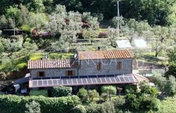 Lamporecchio, Tuscany 51035
