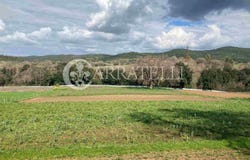 Grosseto, Tuscany 58100