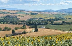 Filottrano, Marche 60024