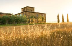 Sinalunga, Tuscany 53048