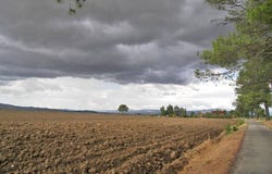 Grosseto, Tuscany 58100