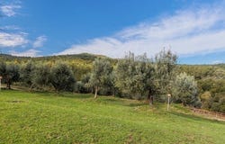 Laterina, Tuscany 52020