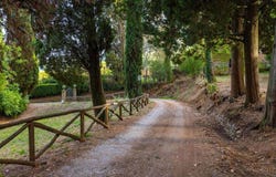 Lucca, Tuscany 55100
