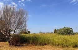 Carovigno, Apulia 72012