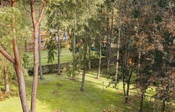 Camaiore, Toscana|Tuscany 55041