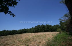 Lucignano, Tuscany 52046