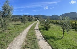 Montecchio, Umbria